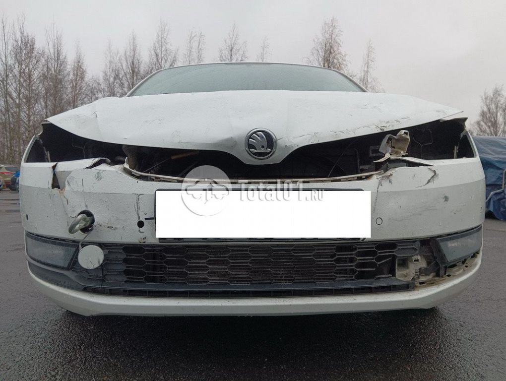 Фото Skoda Rapid 40