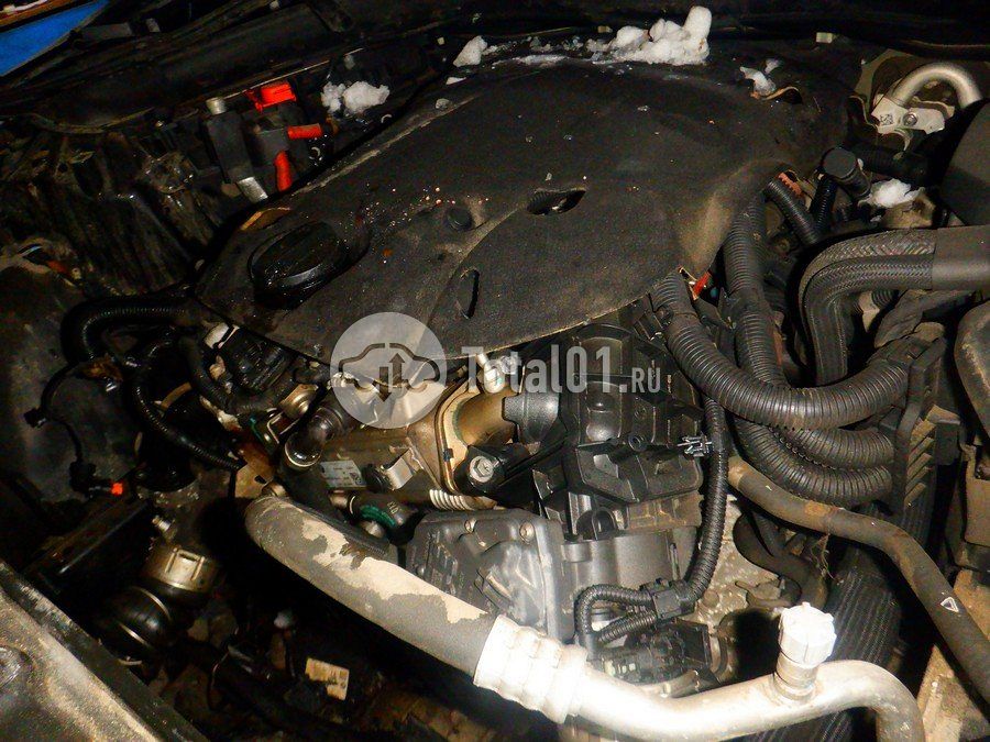 Фото BMW 3 серия 218