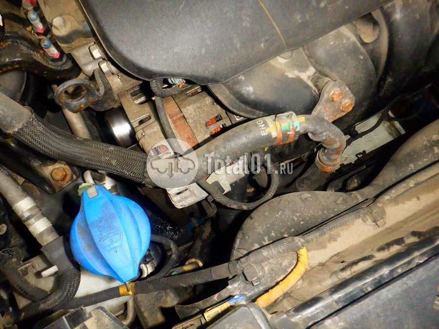 Фото KIA Sportage 218