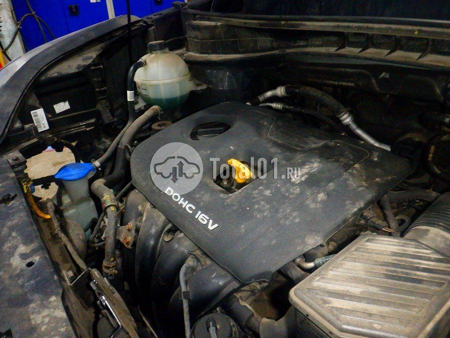 Фото KIA Sportage 240