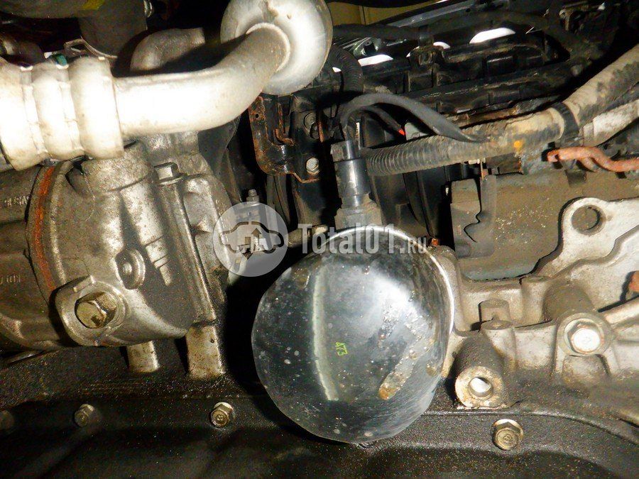 Фото KIA Sportage 286