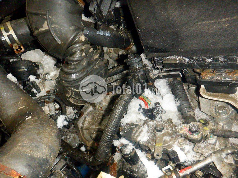 Фото KIA cee\'d 186