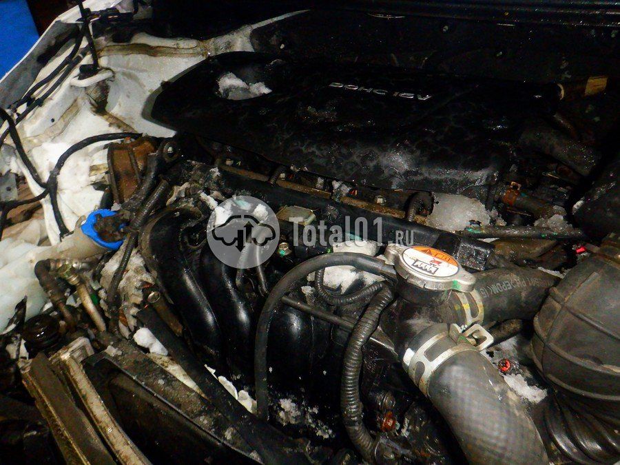 Фото KIA cee\'d 188