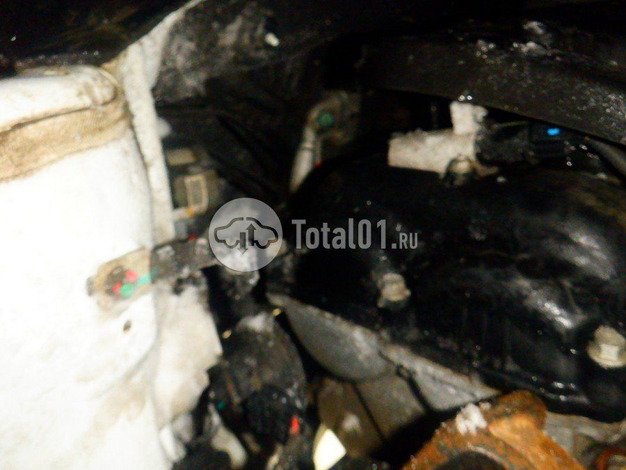 Фото KIA cee\'d 202