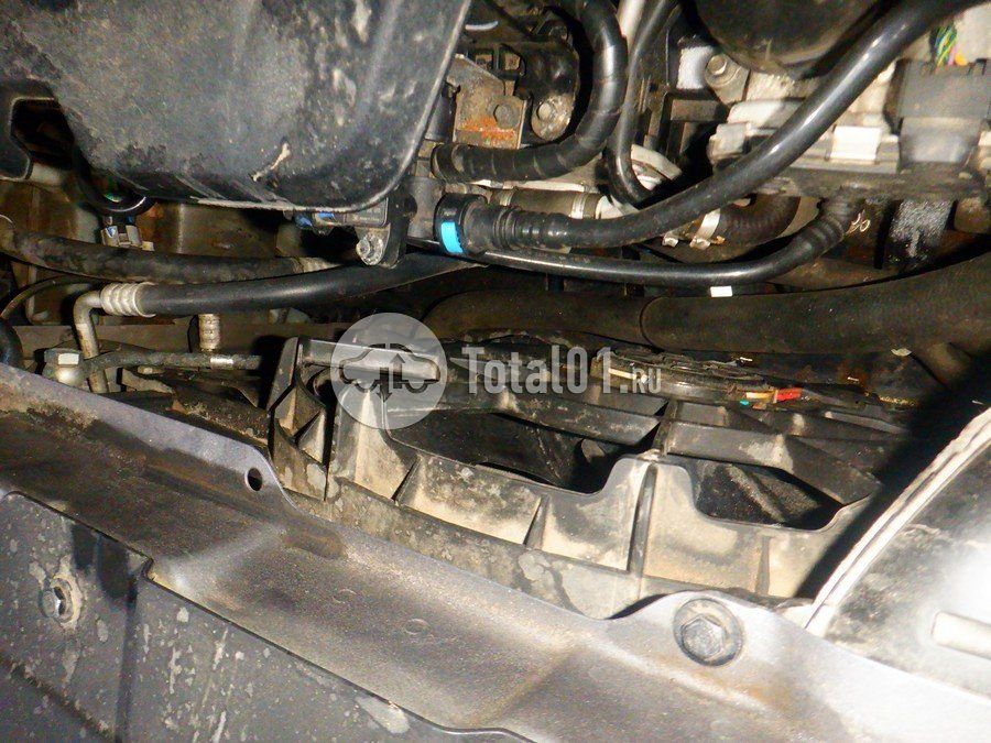 Фото Chery Tiggo 7 Pro 200