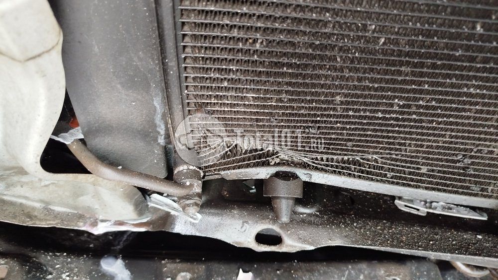 Фото Toyota Corolla 12