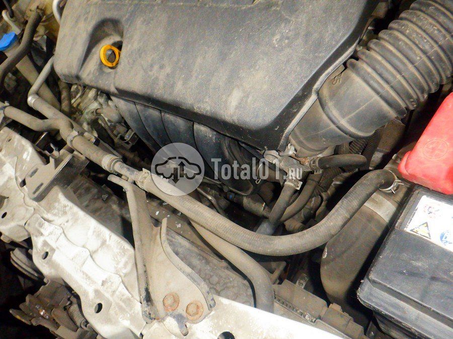 Фото Toyota Corolla 204