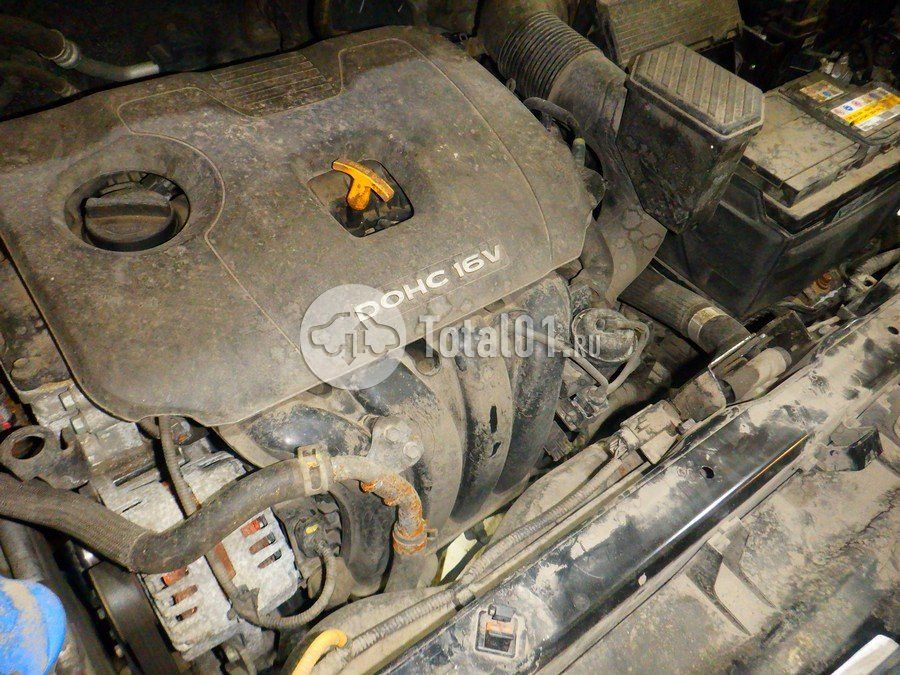 Фото KIA Sportage 218