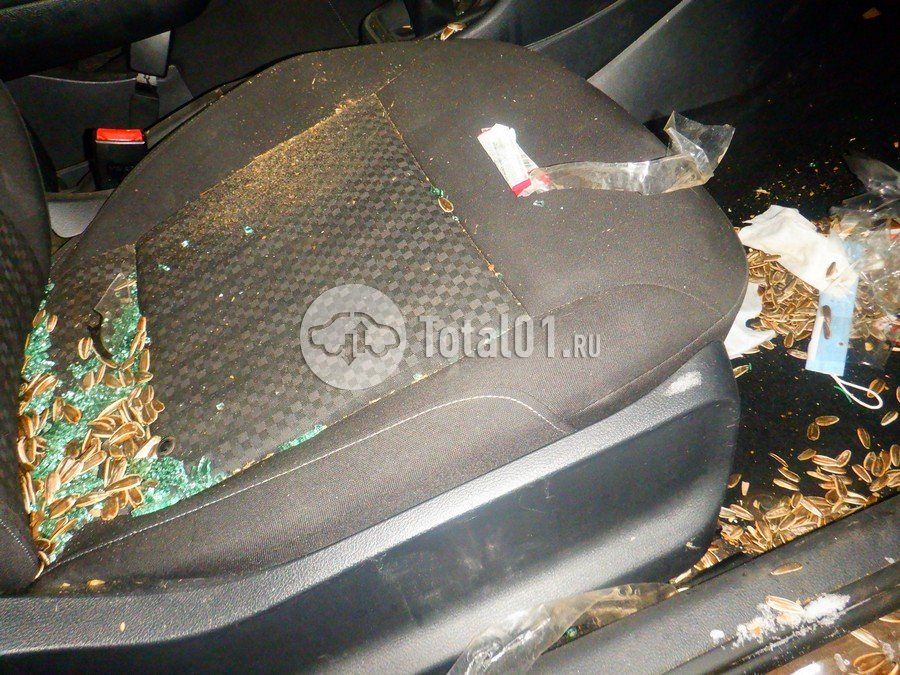 Фото Volkswagen Polo 26