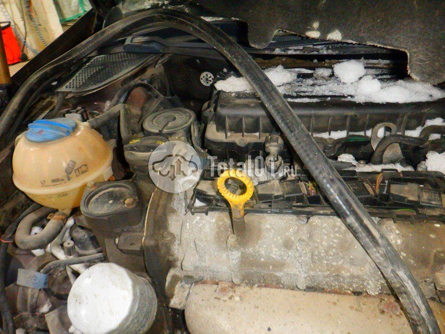 Фото Volkswagen Polo 232