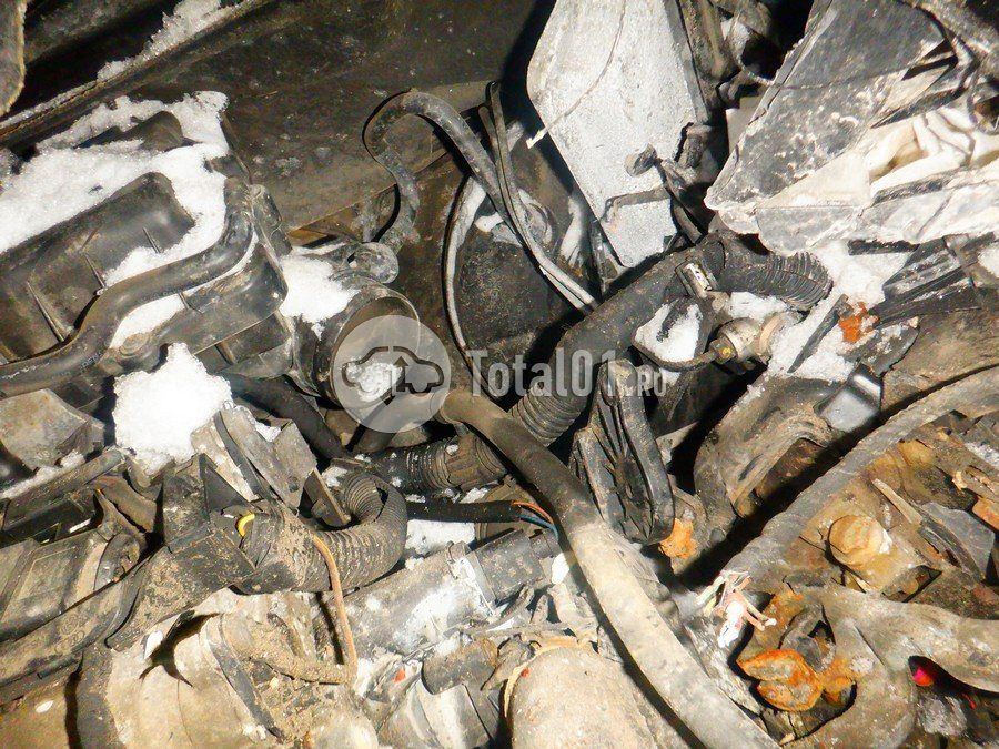 Фото Volkswagen Polo 236