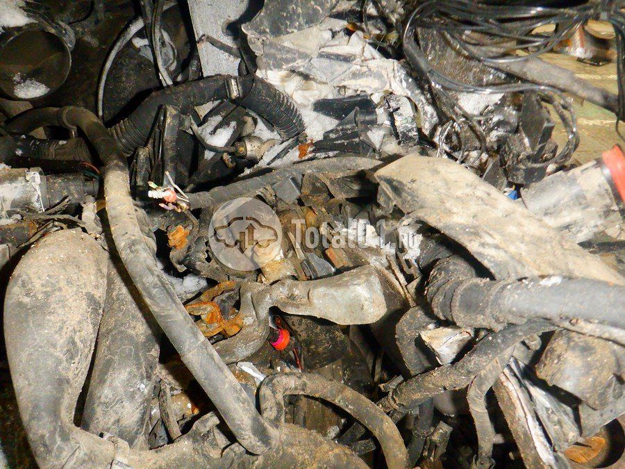 Фото Volkswagen Polo 240