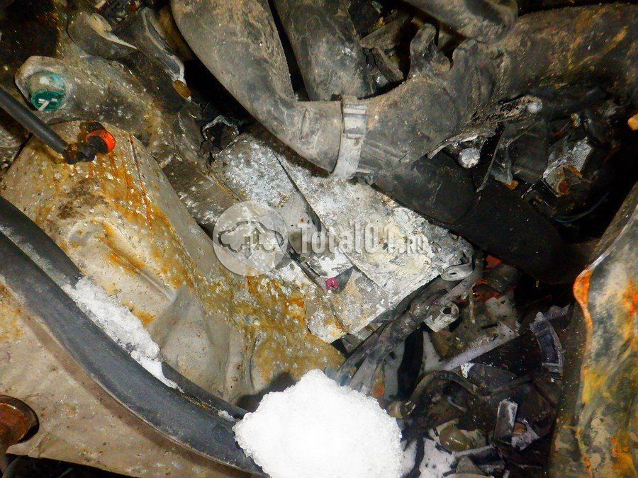 Фото Volkswagen Polo 242