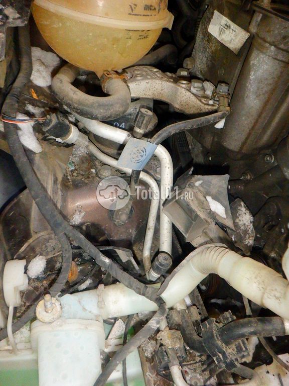 Фото Volkswagen Polo 254