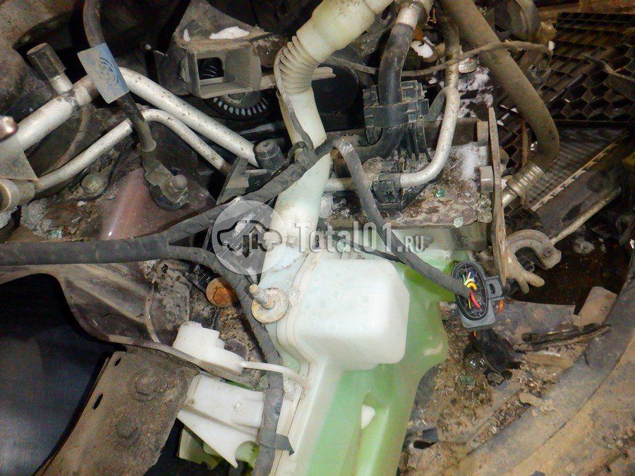 Фото Volkswagen Polo 256