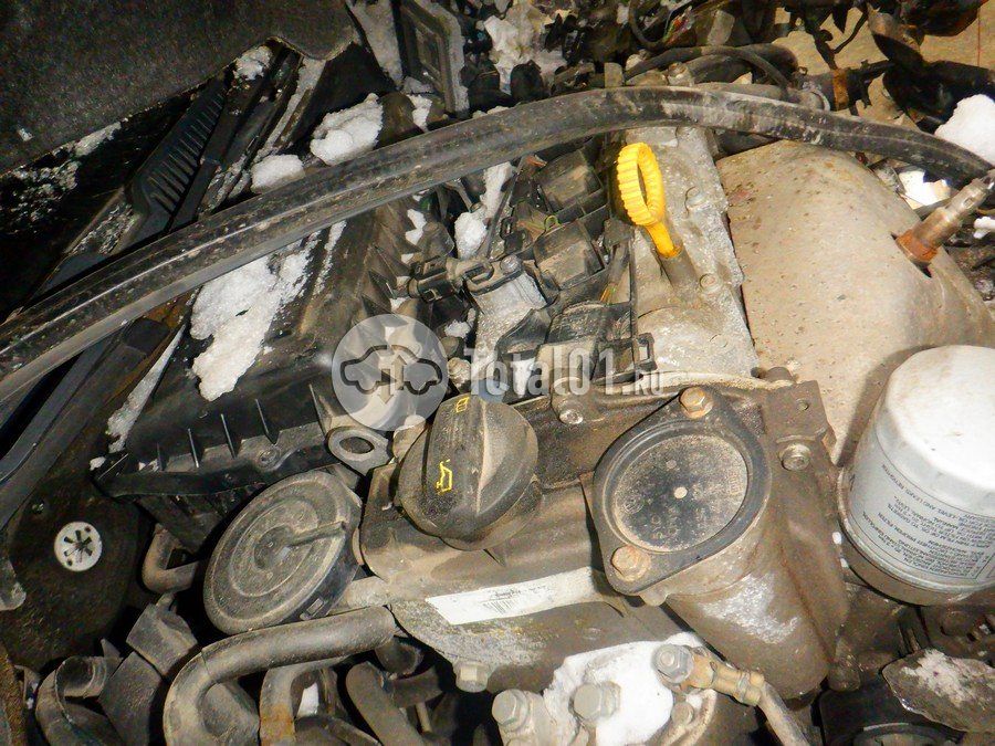 Фото Volkswagen Polo 260