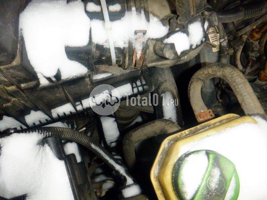 Фото Volkswagen Caravelle 226