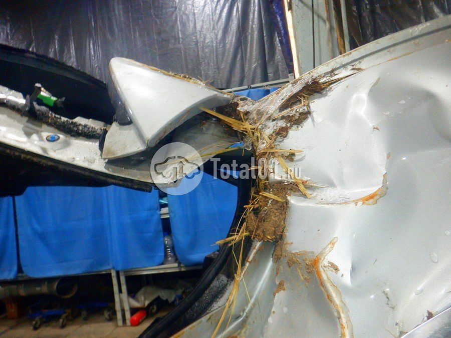 Фото KIA Sorento 138