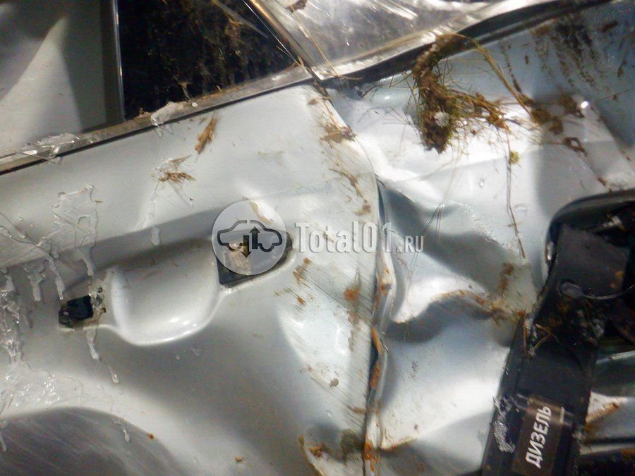 Фото KIA Sorento 198