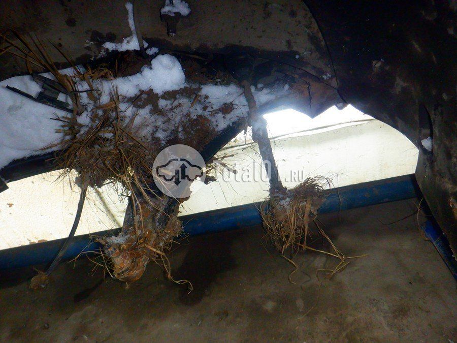 Фото KIA Sorento 226