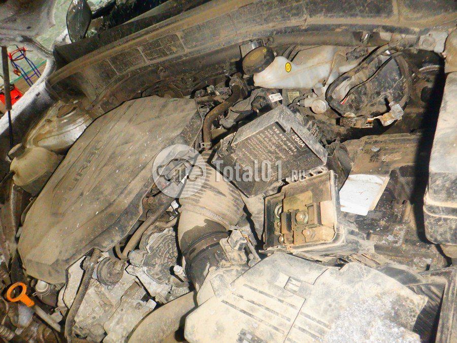 Фото KIA Sorento 260