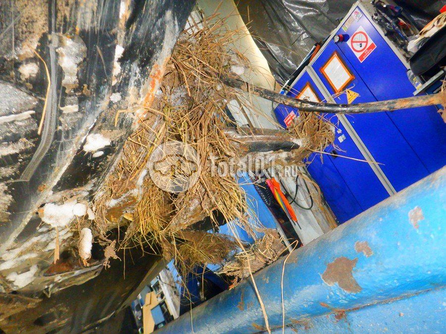 Фото KIA Sorento 302