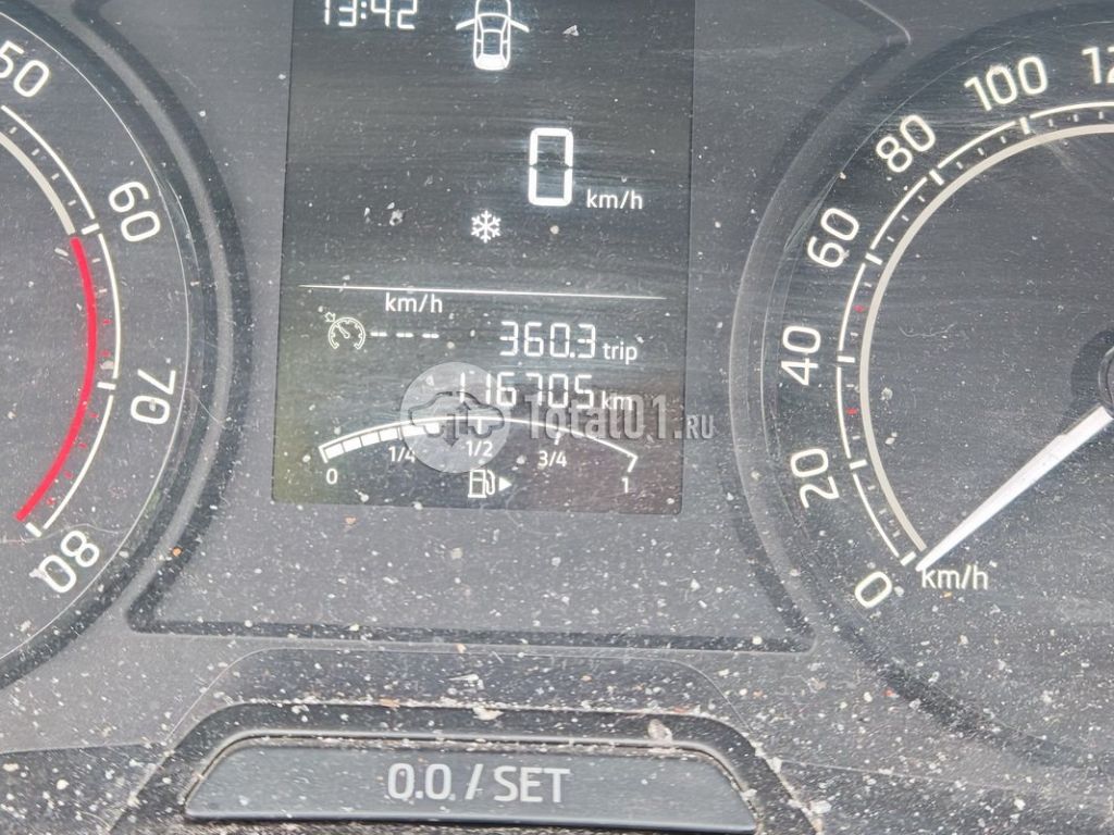 Фото Skoda Rapid 196