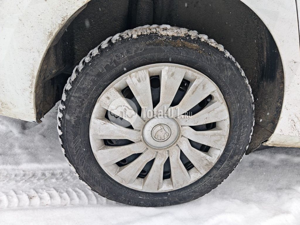 Фото Skoda Rapid 206