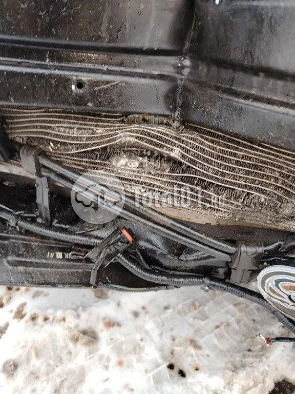 Фото KIA Carnival 106