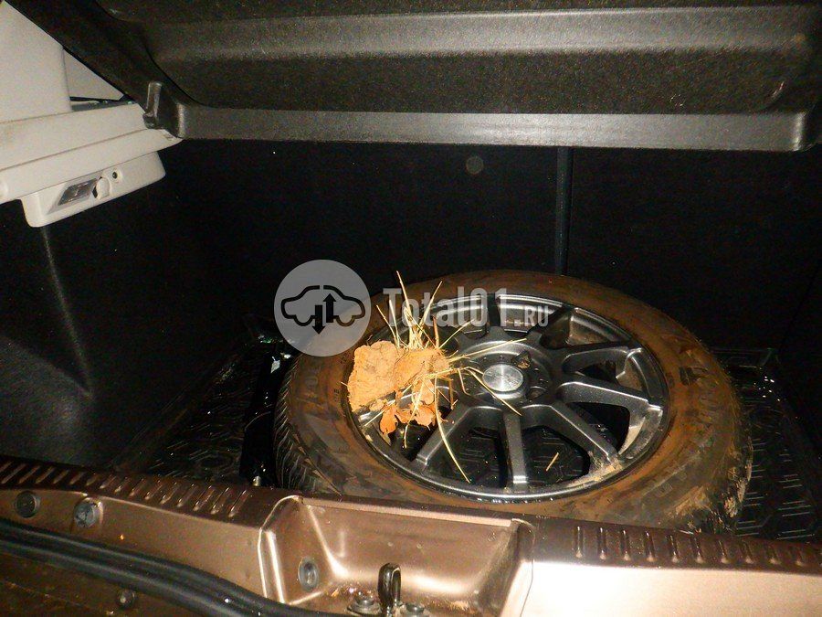 Фото Renault Sandero 58