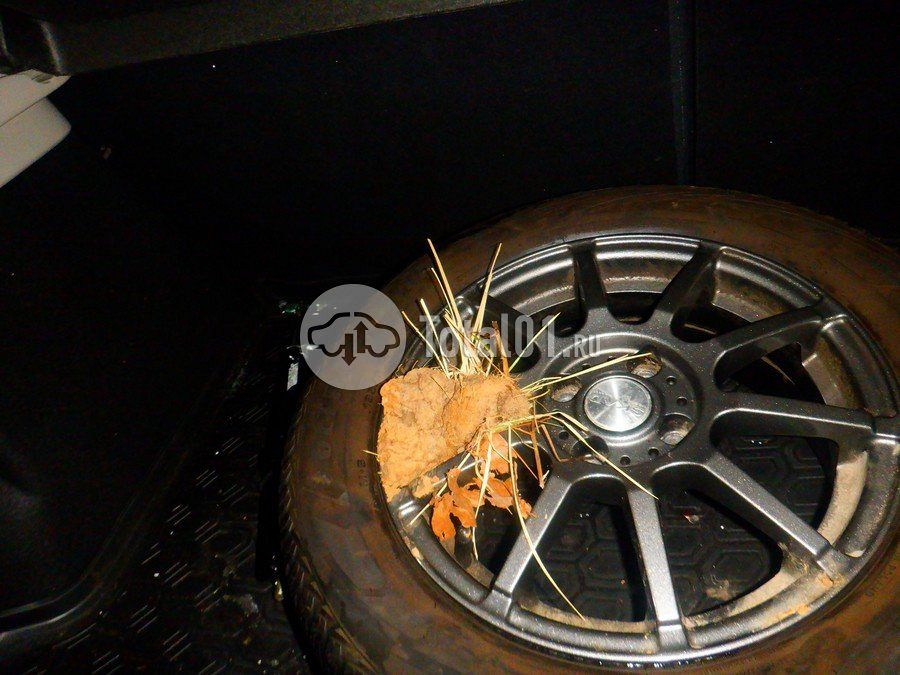 Фото Renault Sandero 60