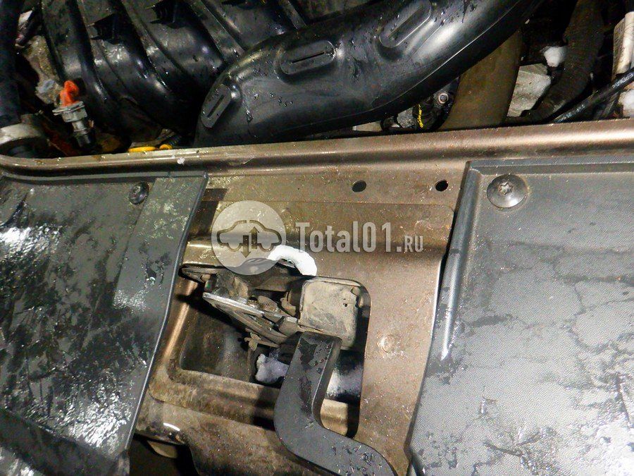 Фото Renault Sandero 198