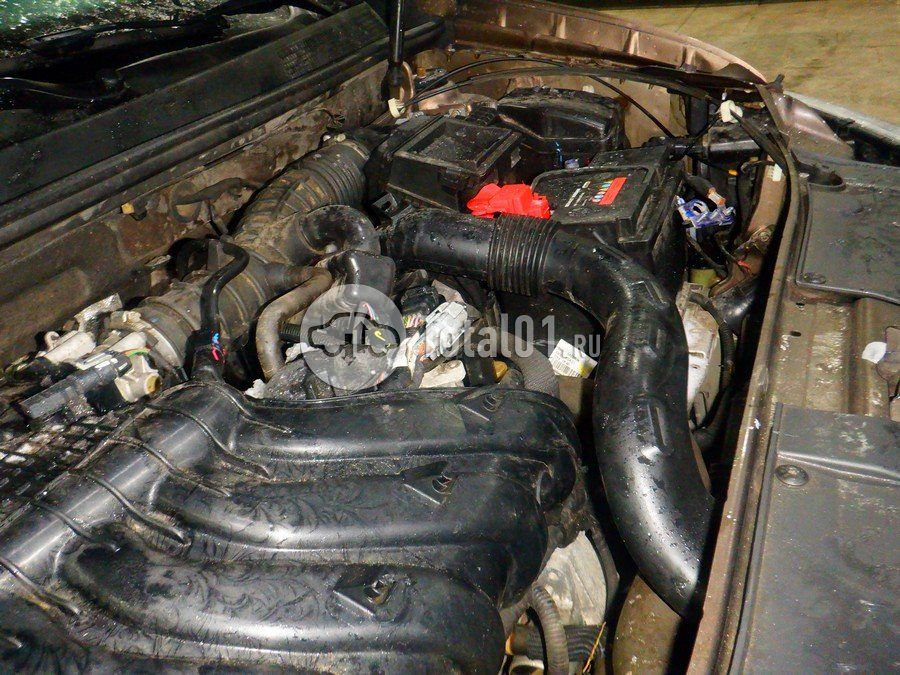 Фото Renault Sandero 244