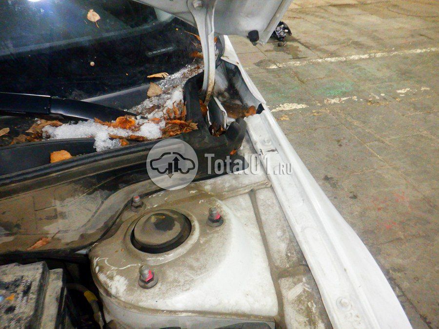 Фото Hyundai Elantra 198