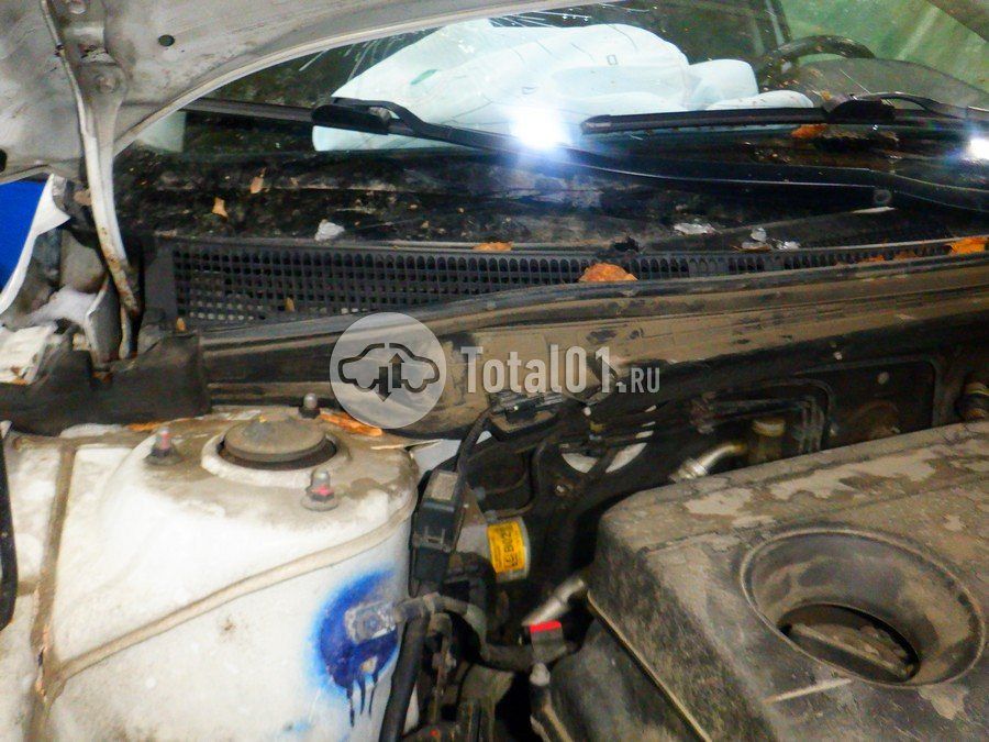 Фото Hyundai Elantra 248