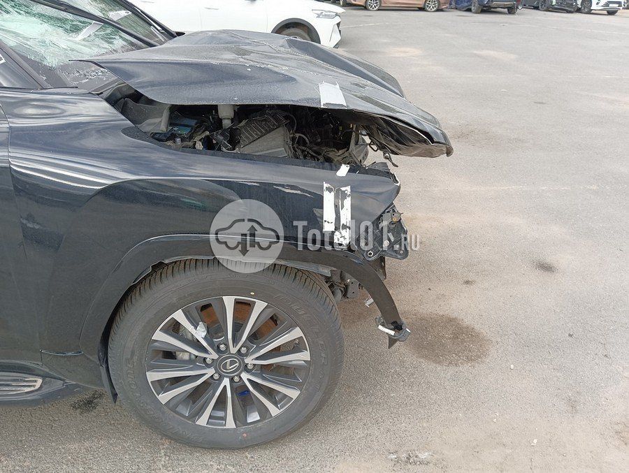 Фото Toyota Land Cruiser 50