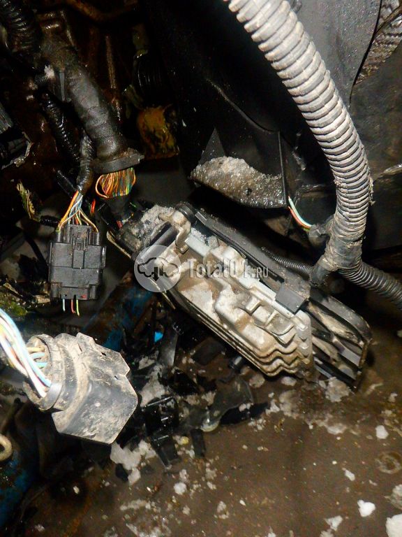 Фото Ford Focus 234