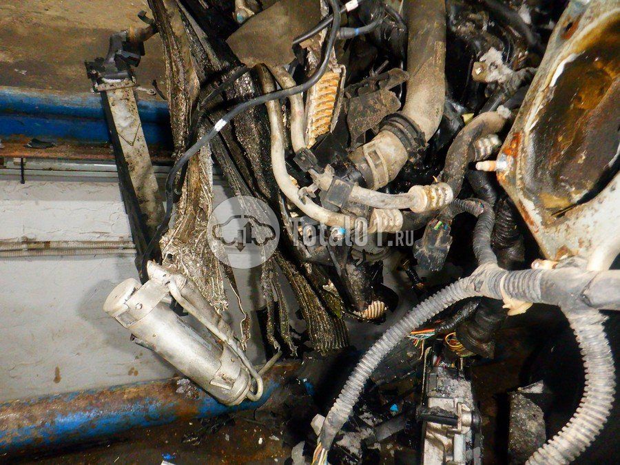 Фото Ford Focus 236