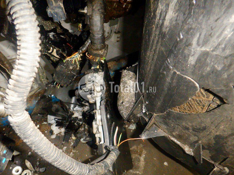 Фото Ford Focus 238