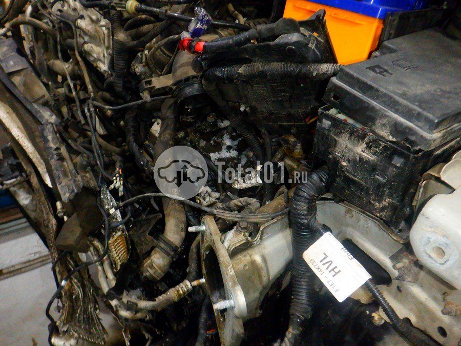 Фото Ford Focus 240