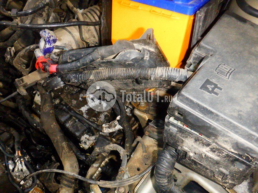 Фото Ford Focus 244