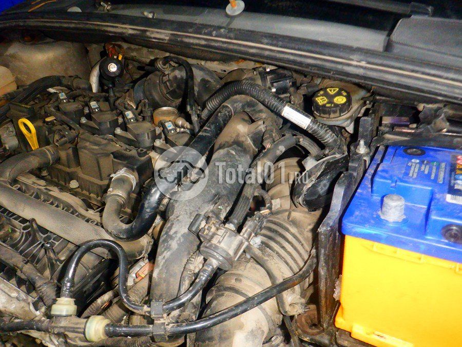 Фото Ford Focus 248