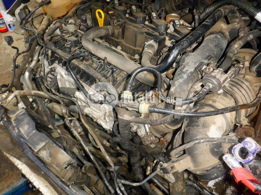 Фото Ford Focus 250