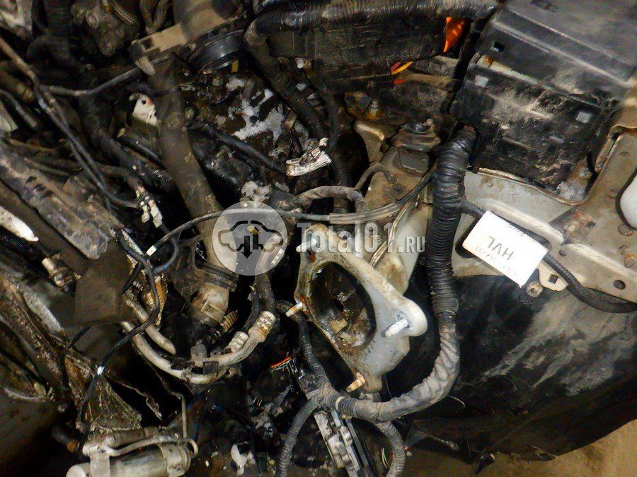 Фото Ford Focus 252