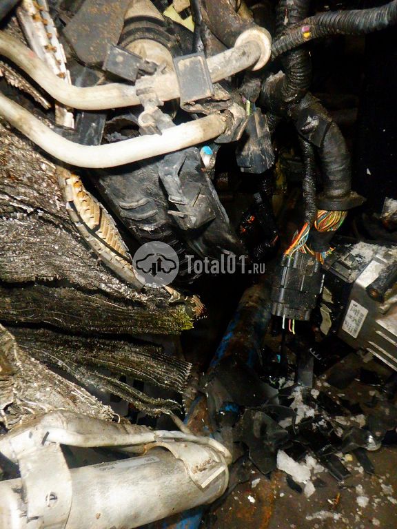 Фото Ford Focus 254