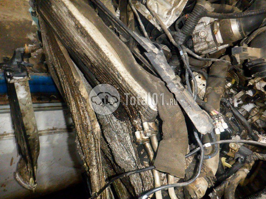 Фото Ford Focus 256