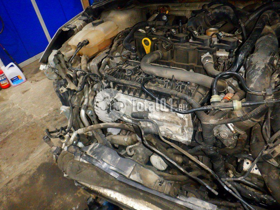 Фото Ford Focus 260