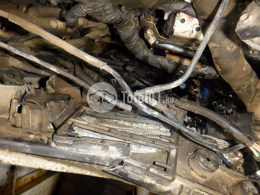 Фото Ford Focus 262