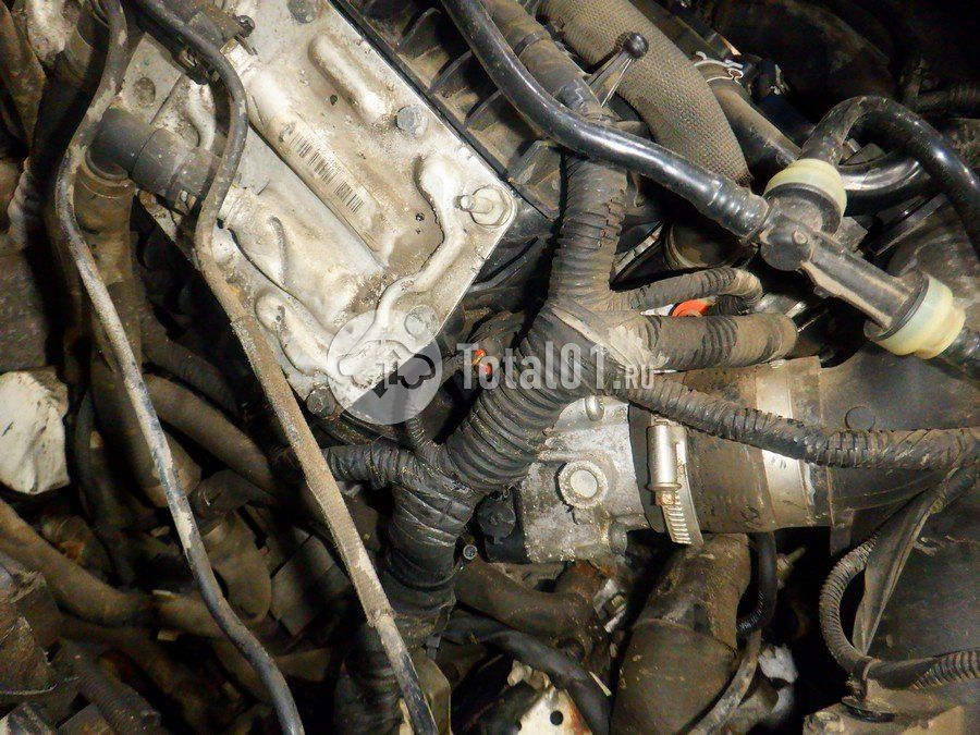 Фото Ford Focus 266