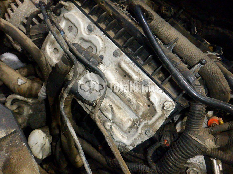 Фото Ford Focus 268